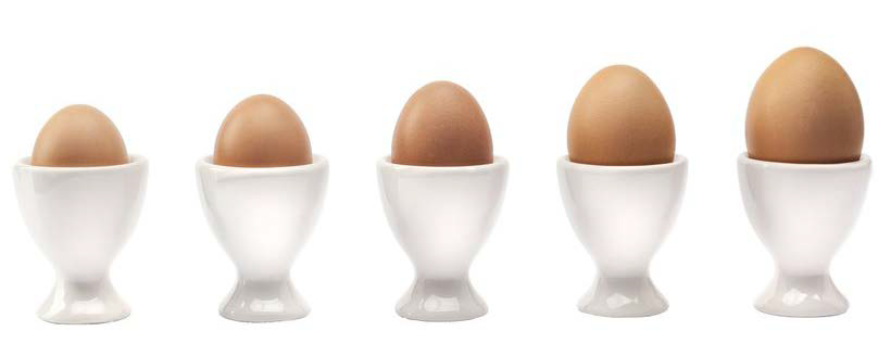 تنظیم اندازه تخم مرغ بر اساس نیاز بازار از طریق مدیریت